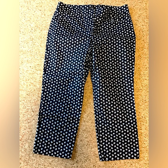 Ann Taylor Factory Pants - Ann Taylor Skinny Ankle/Crop Pants